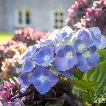 بيت للعطل Kill House, Kingstown *