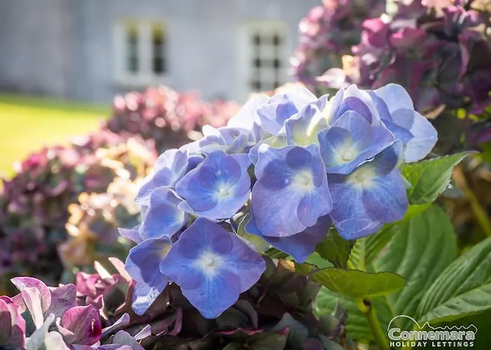 Hébergement de vacances Kill House, Kingstown *